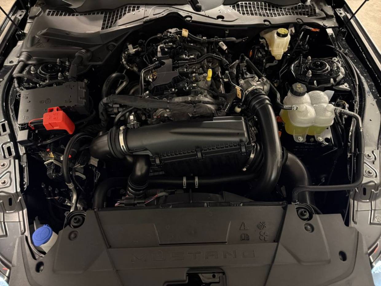 2025 Ford Mustang EcoBoost Premium Fastback - Photo 10