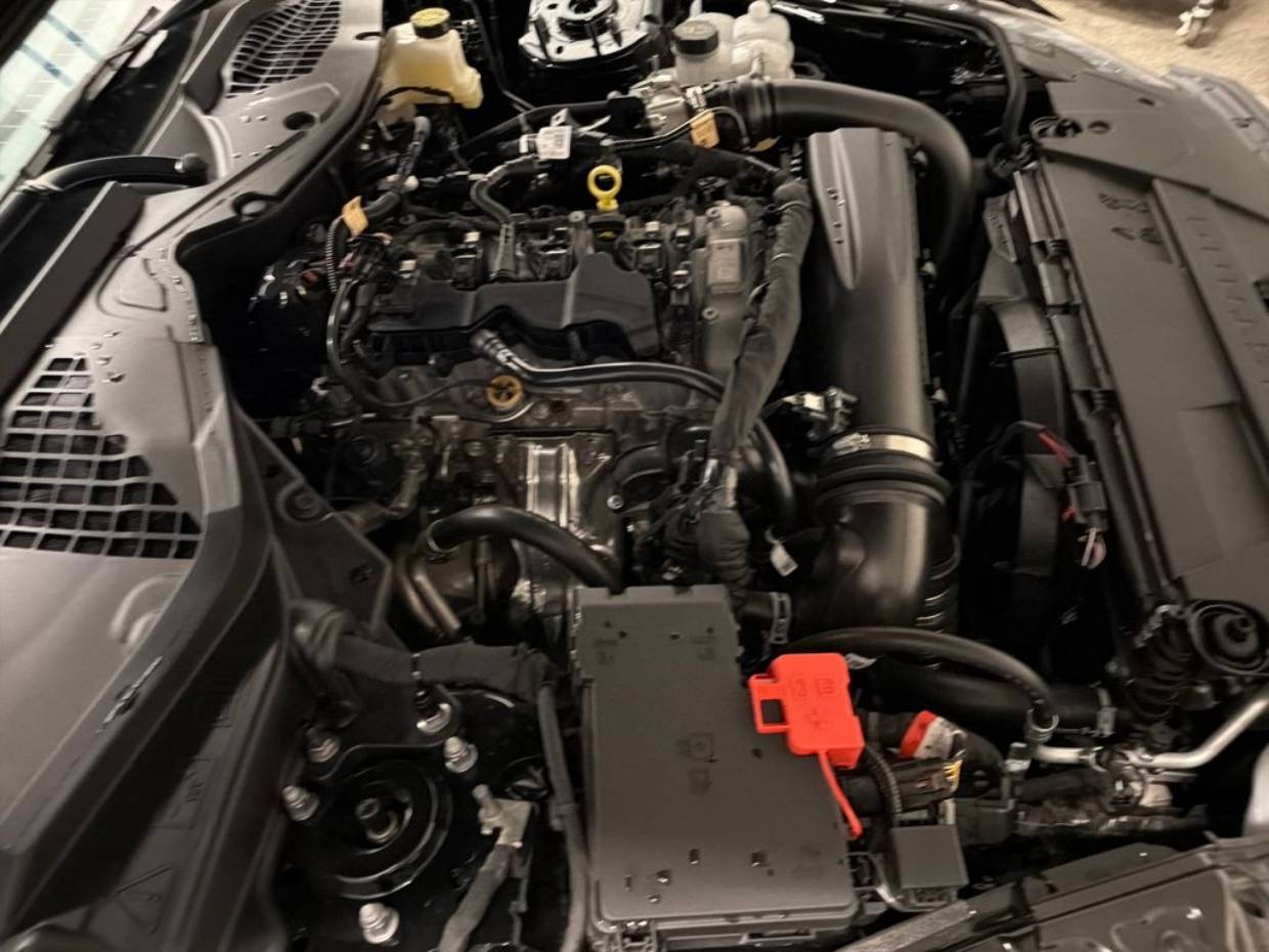2025 Ford Mustang EcoBoost Premium Fastback - Photo 12