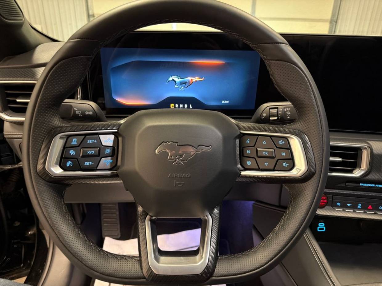 2025 Ford Mustang EcoBoost Premium Fastback - Photo 13