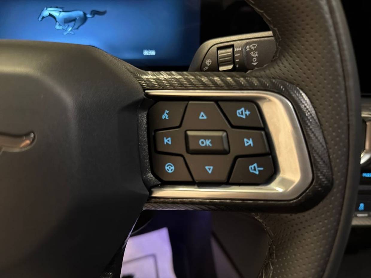 2025 Ford Mustang EcoBoost Premium Fastback - Photo 14