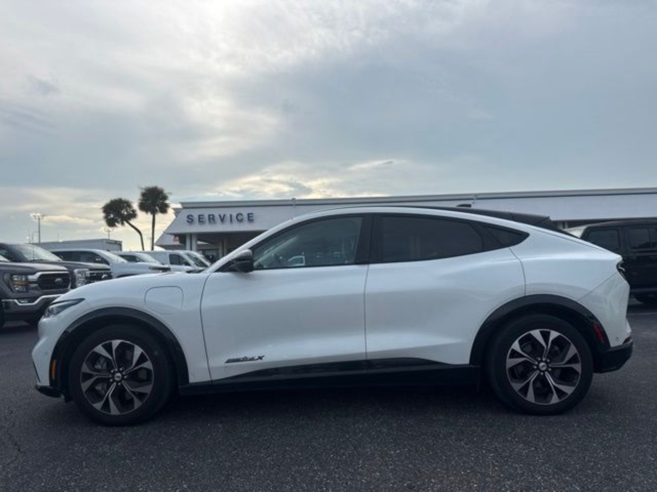 Used 2023 Ford Mustang Mach-E Premium RWD with VIN 3FMTK3R73PMA36888 for sale in Orlando, FL