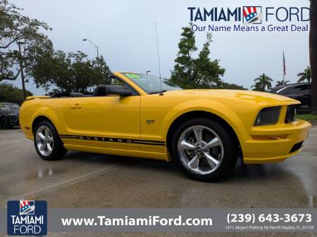 2006 Ford Mustang GT Deluxe
