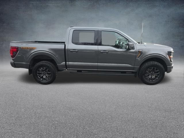 2025 Ford F-150 Tremor - Photo 12