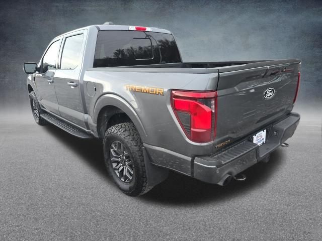 2025 Ford F-150 Tremor - Photo 16