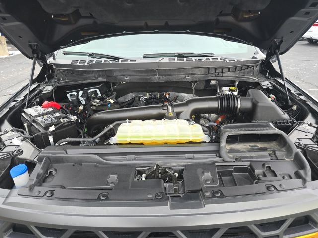2025 Ford F-150 Tremor - Photo 29
