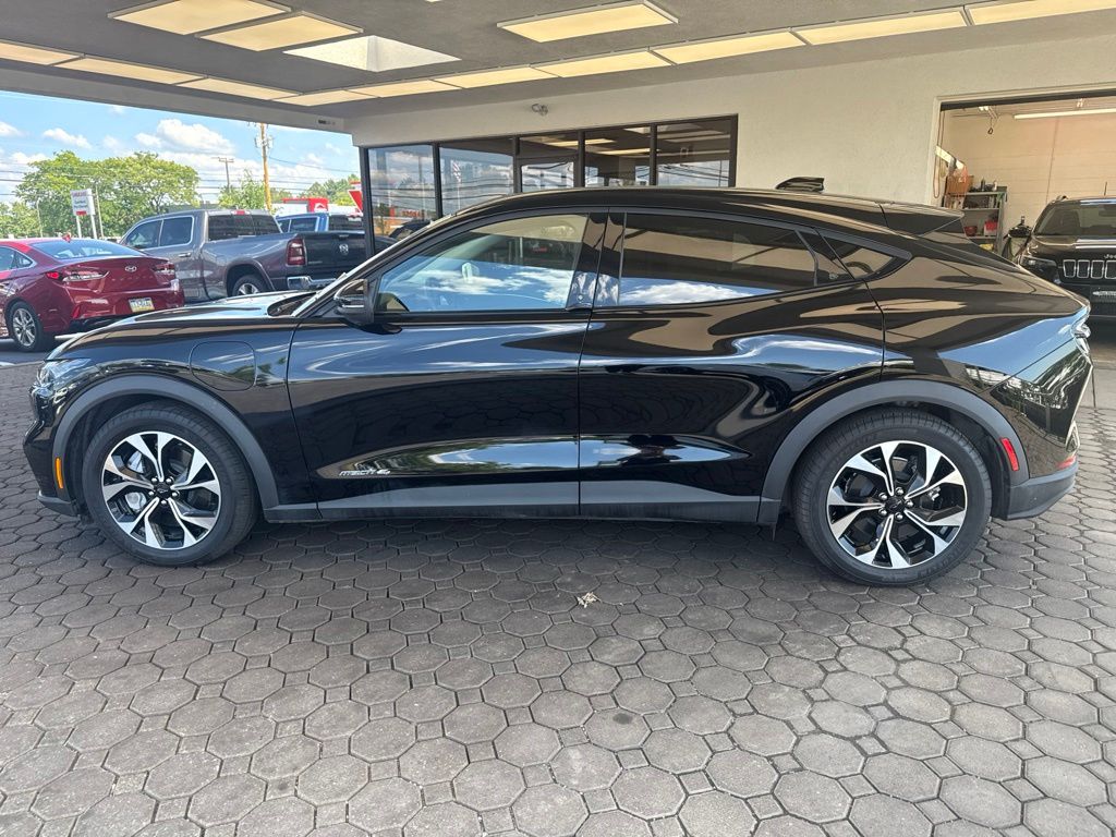 Showcase Image