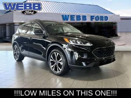 2021 Ford Escape SEL