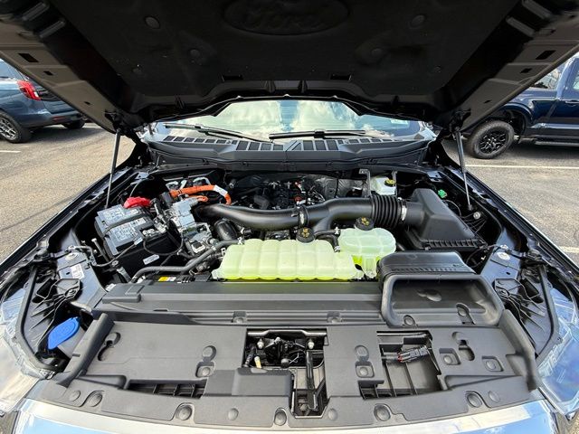 Showcase Image