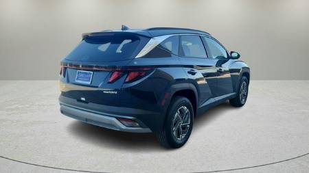 Showcase Image