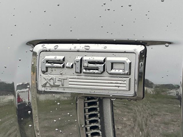 Showcase Image