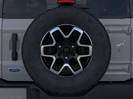 Showcase Image