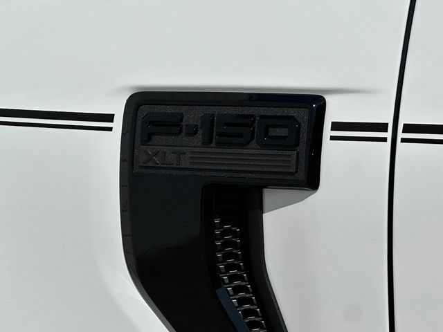 Showcase Image
