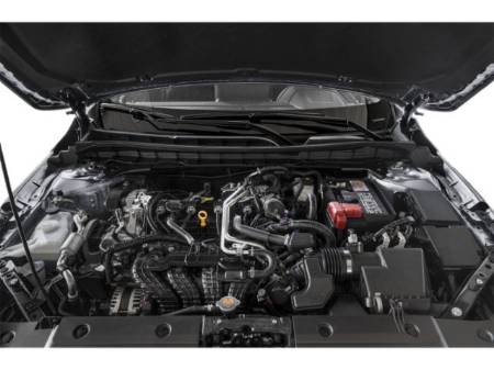 Showcase Image