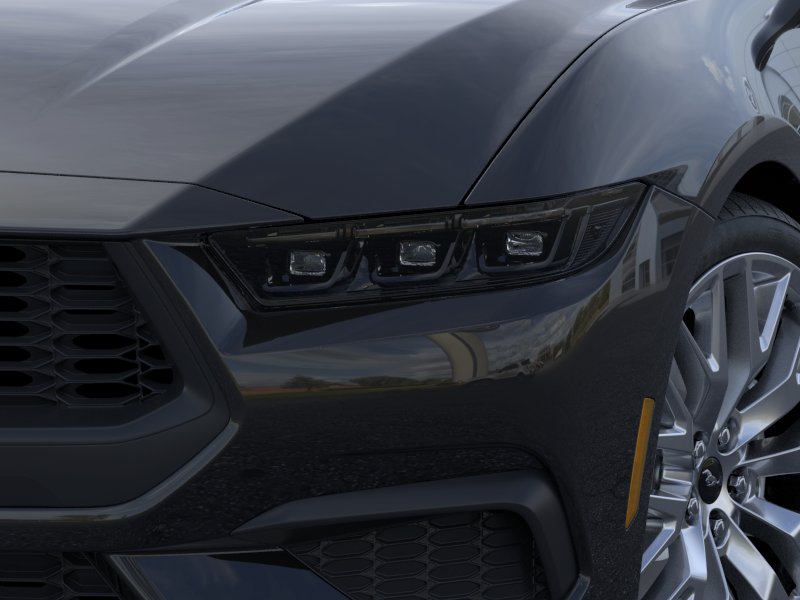 Showcase Image