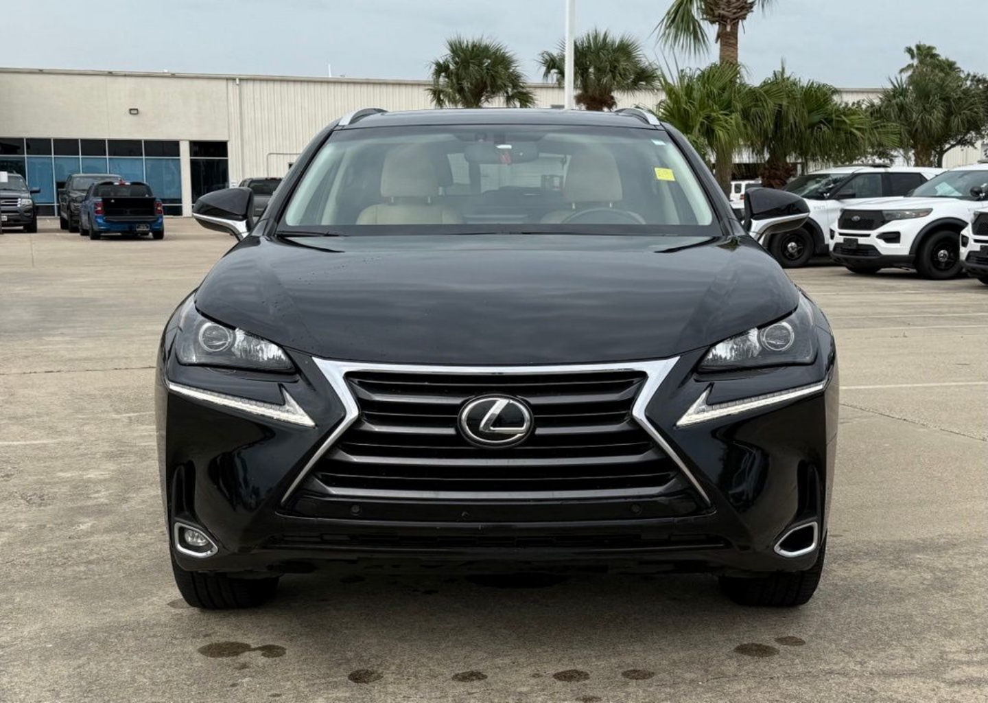 Used 2016 Lexus NX 200t with VIN JTJYARBZ8G2023957 for sale in Kingsville, TX