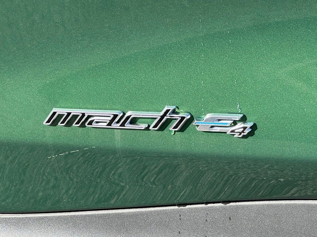 Showcase Image
