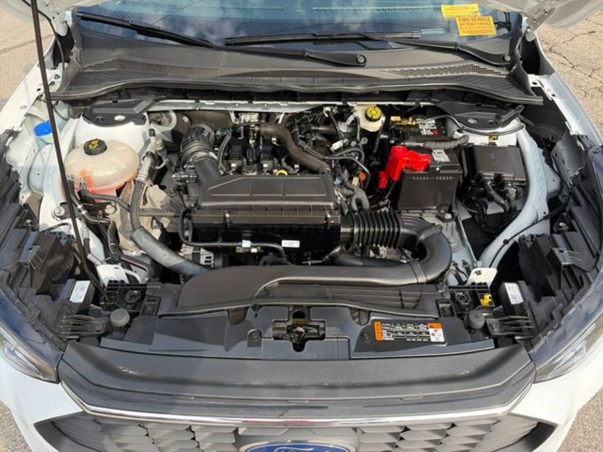 Photo 23