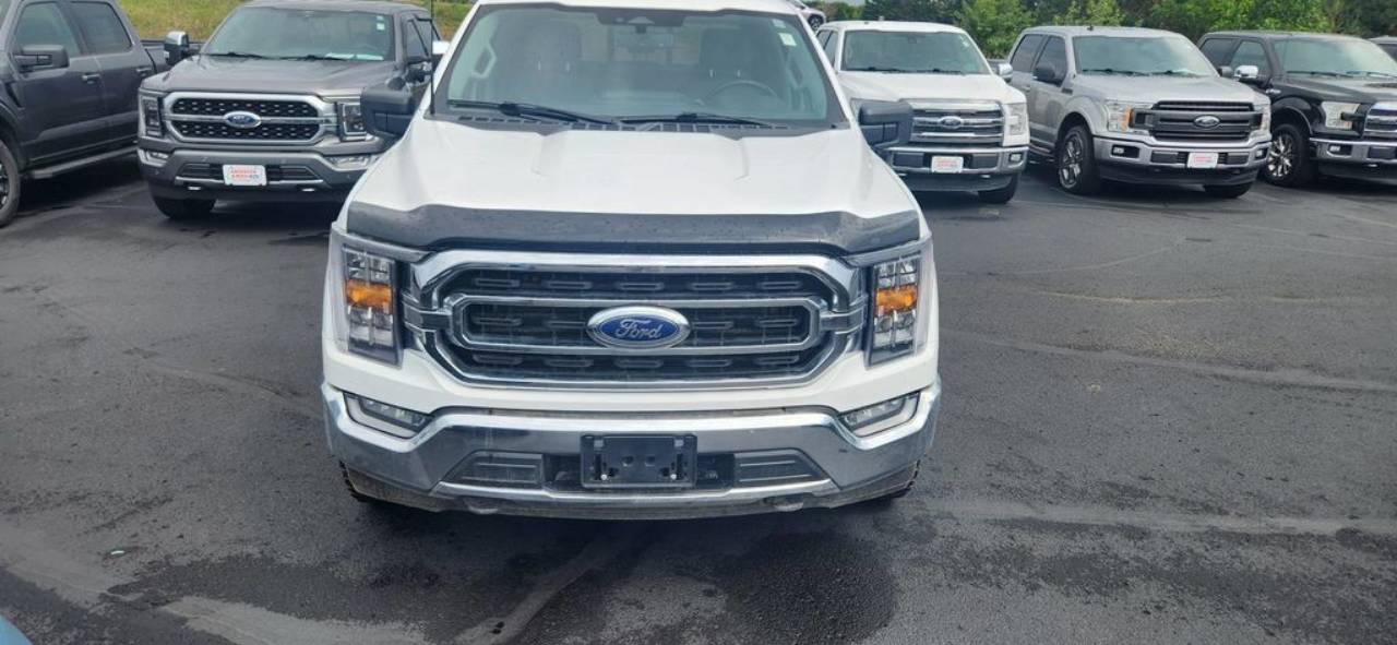 Used 2023 Ford F-150 XLT with VIN 1FTFW1E88PFA62797 for sale in North Branch, Minnesota