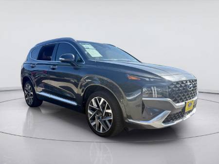 2022 Hyundai Santa Fe Calligraphy