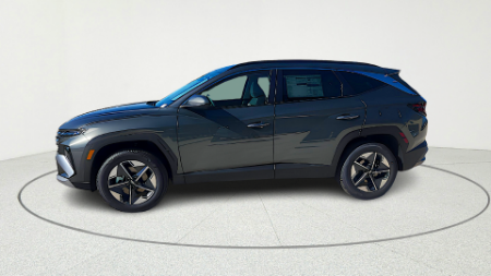 Showcase Image