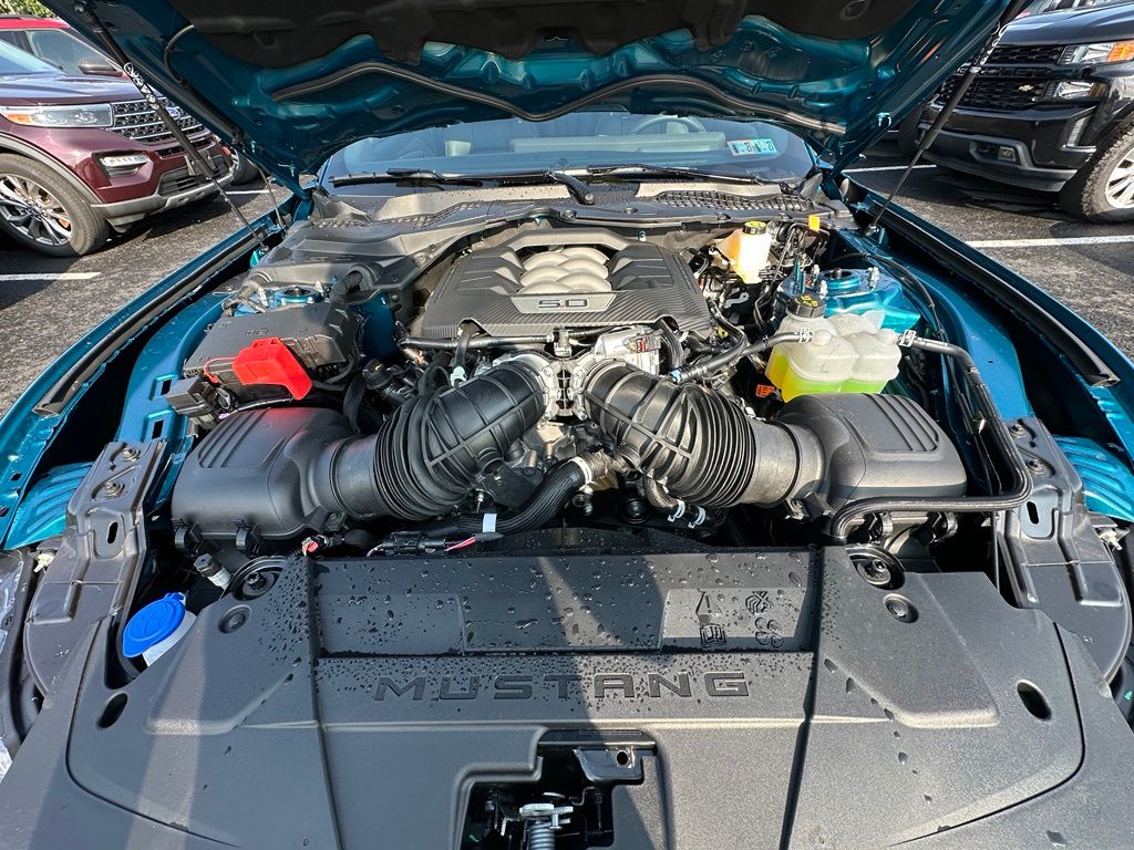 Showcase Image