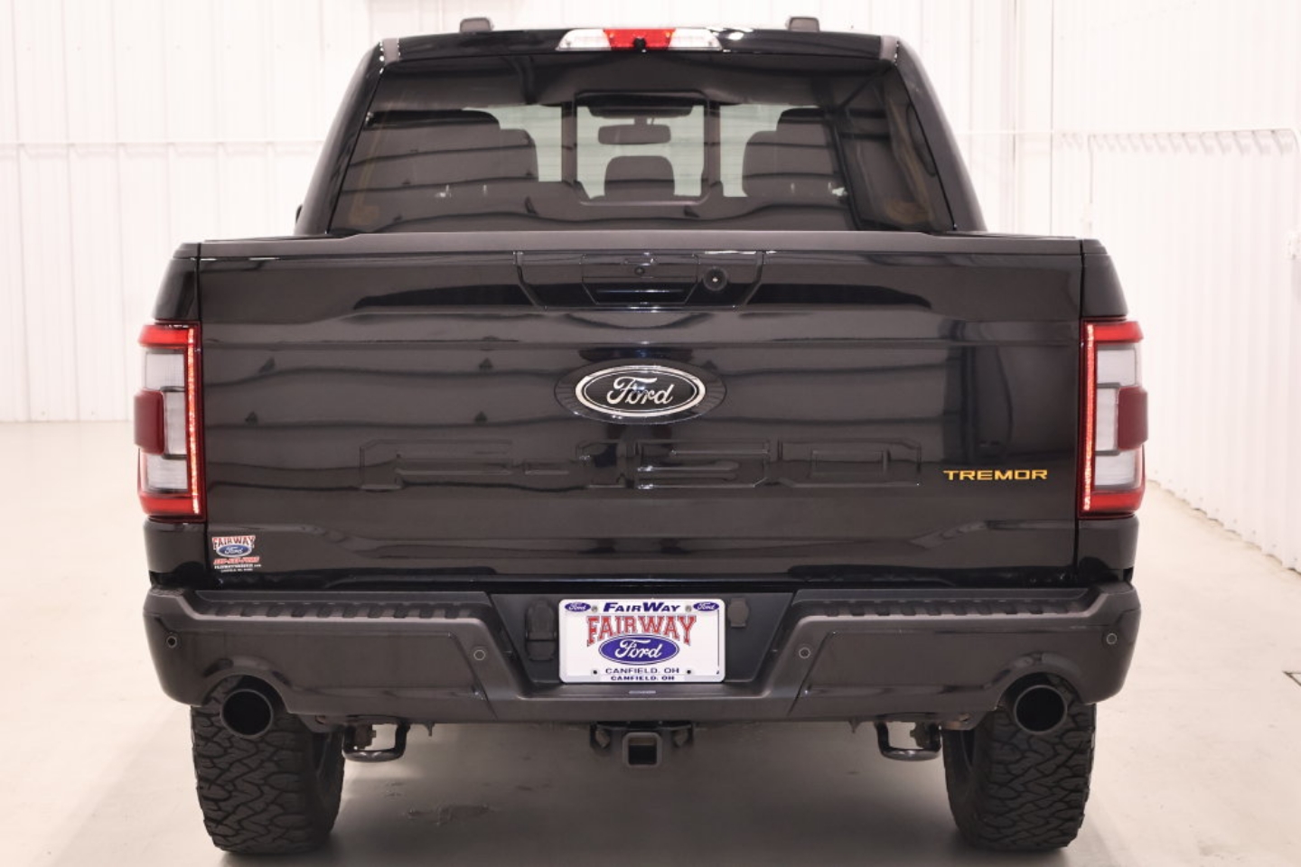 2023 Ford F-150 Tremor - Photo 8