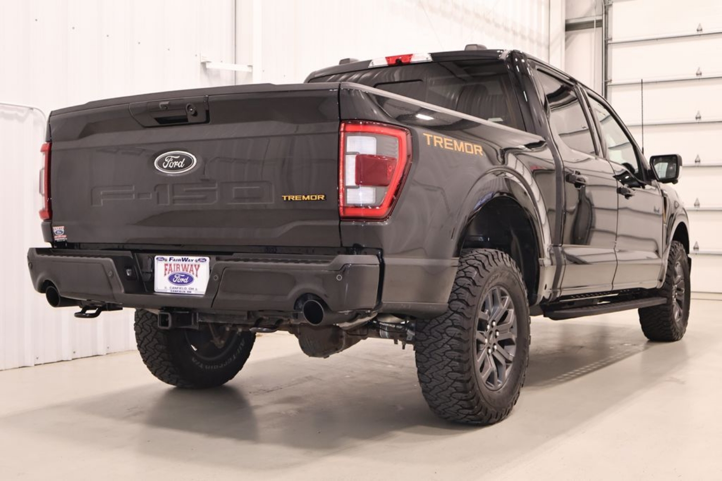 2023 Ford F-150 Tremor - Photo 9