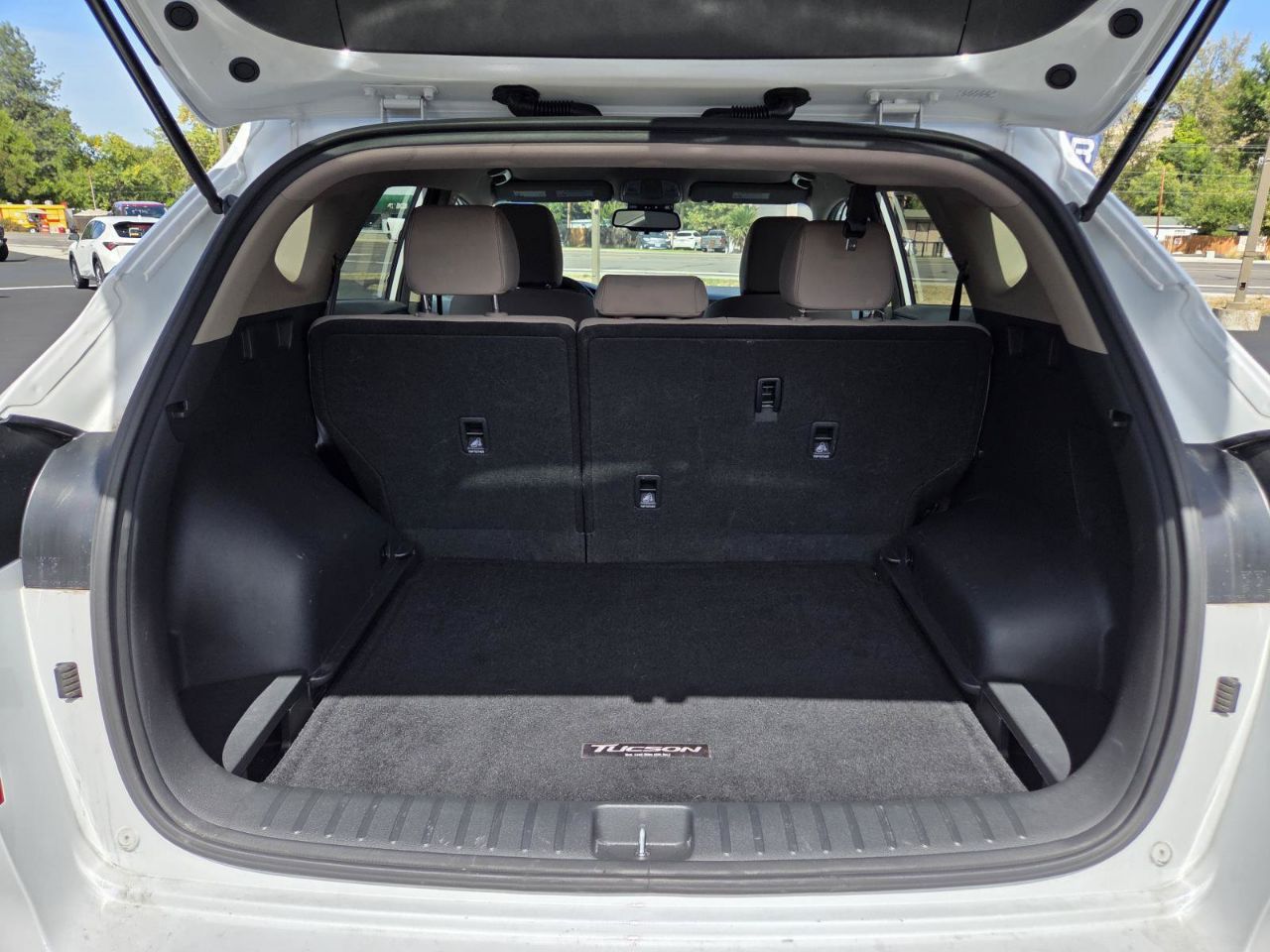 Showcase Image