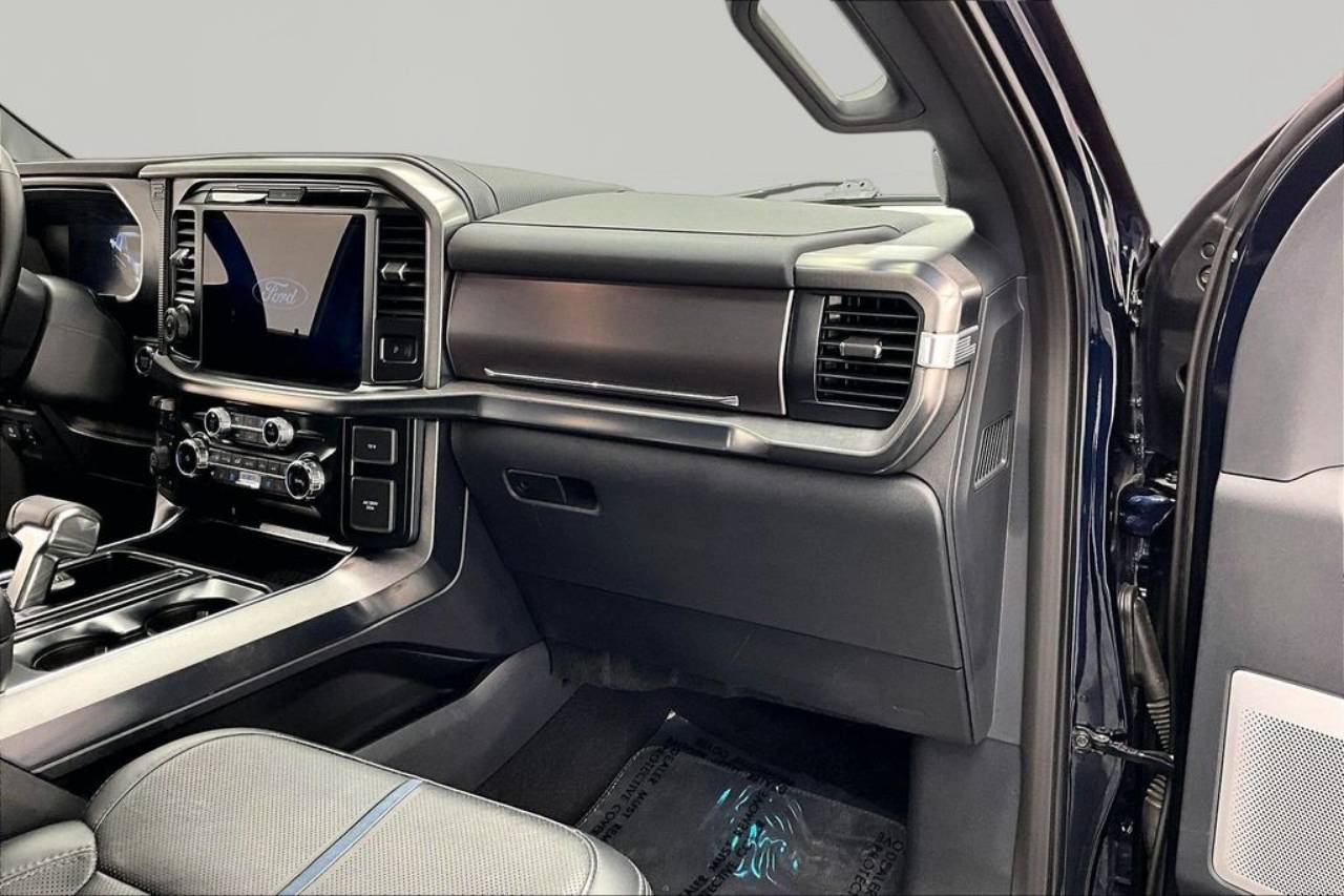 2025 Ford F-150 Platinum - Photo 17