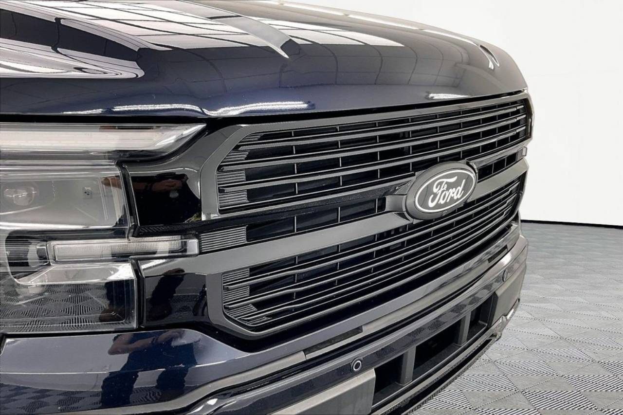 2025 Ford F-150 Platinum - Photo 29