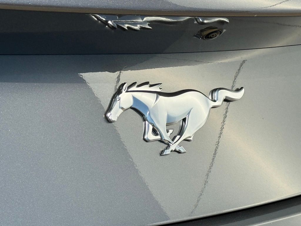 2026 Ford Mustang EcoBoost Premium Fastback - Photo 26