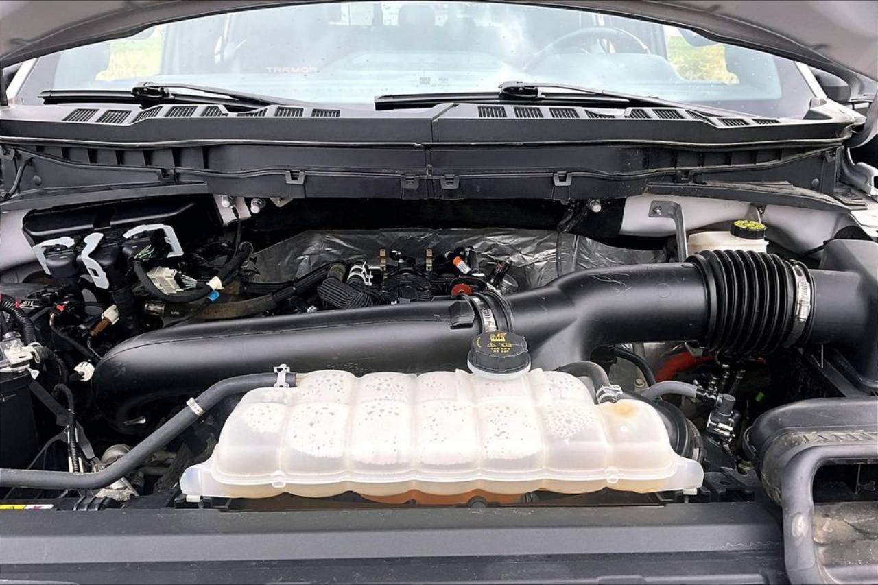 2024 Ford F-150 Tremor - Photo 10