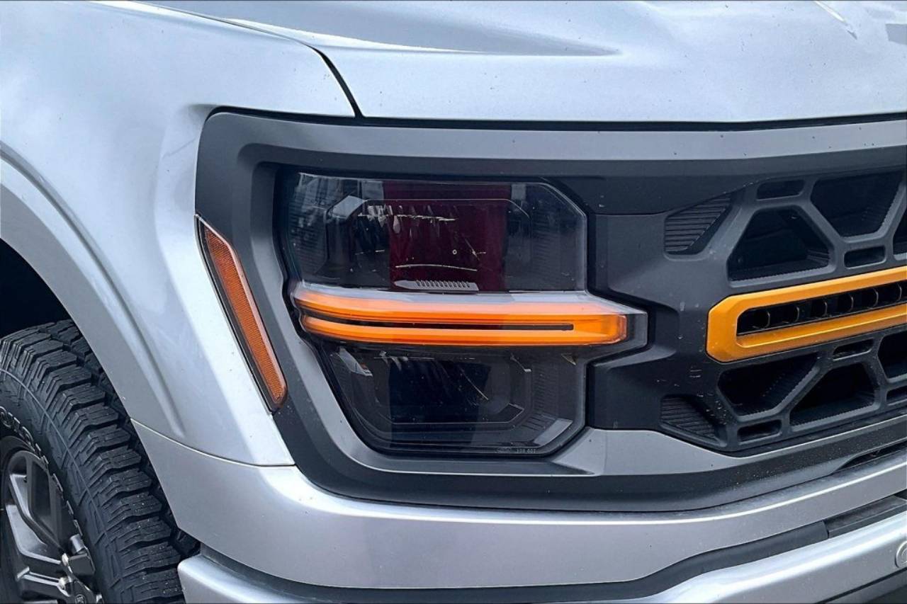 2024 Ford F-150 Tremor - Photo 30