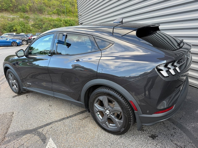 Photo 4
