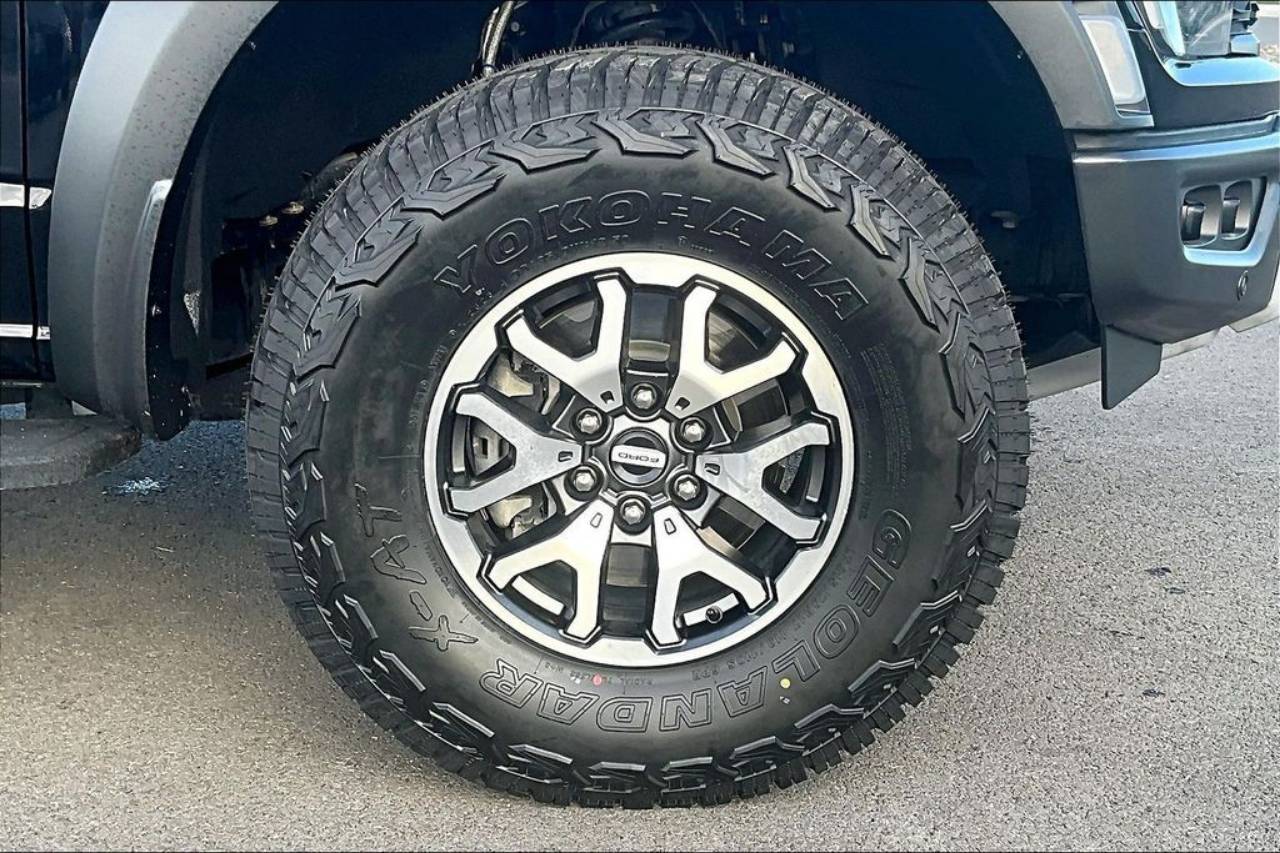2021 Ford F-150 Raptor - Photo 9