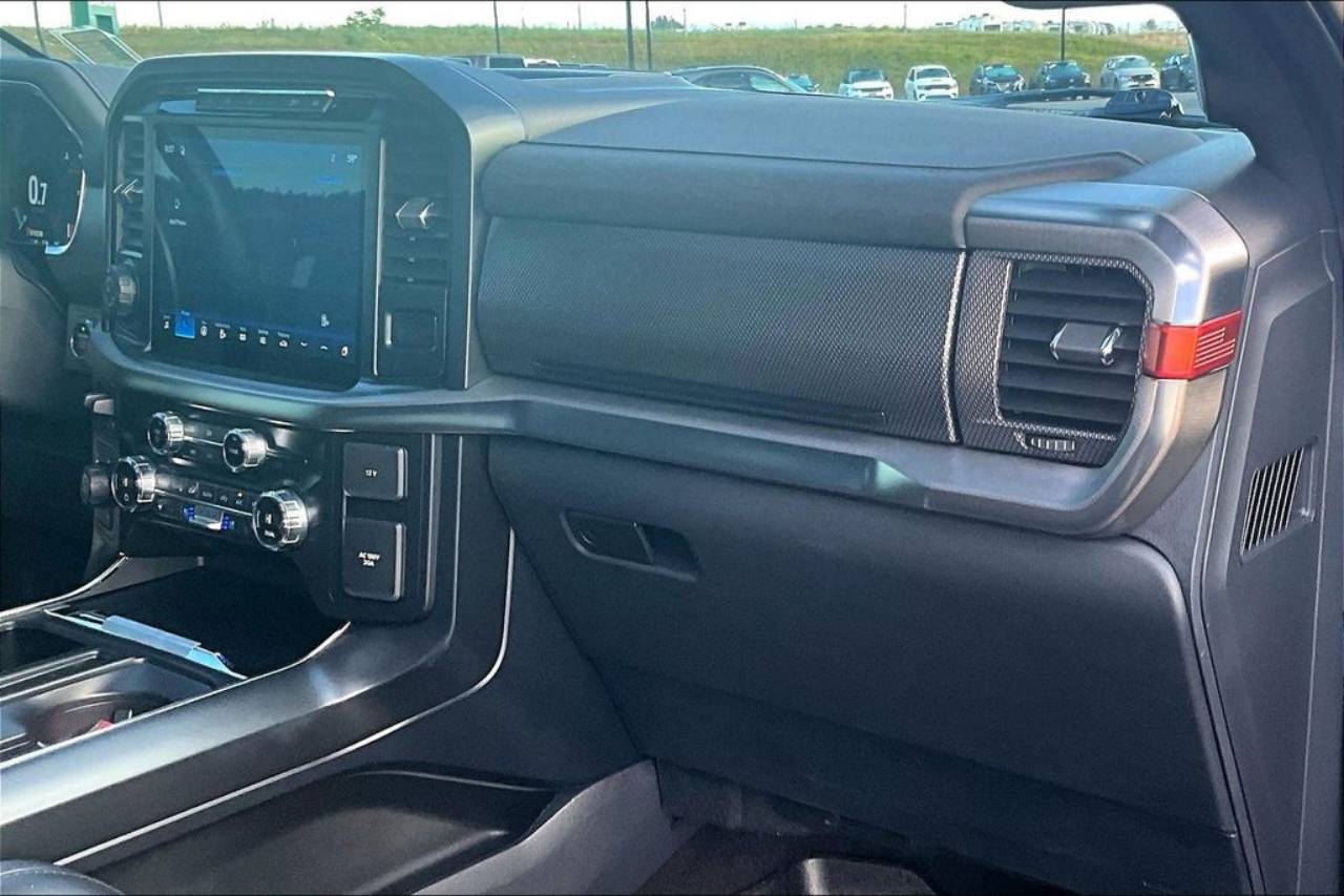 2021 Ford F-150 Raptor - Photo 17