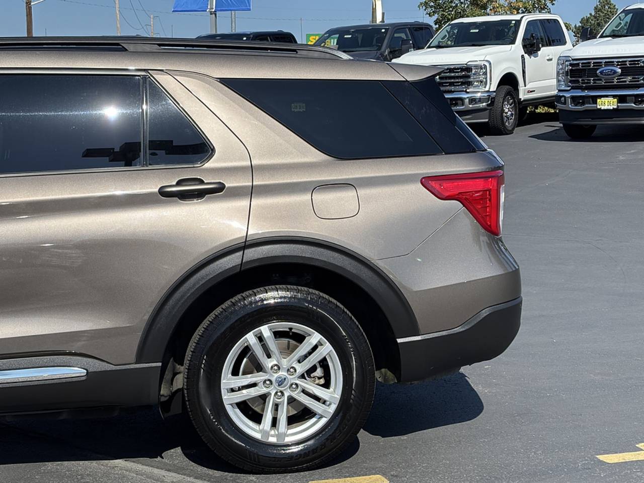 Photo 11