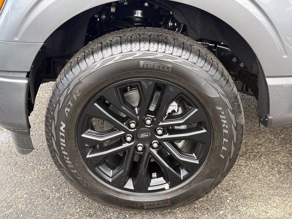 2026 Ford F-150 STX - Photo 6