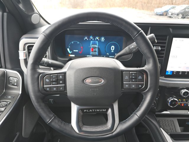 2025 Ford F-250 Super Duty Platinum - Photo 9