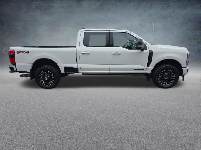 2025 Ford F-250 Super Duty Platinum - Photo 12