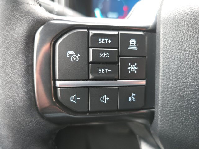 2025 Ford F-250 Super Duty Platinum - Photo 25