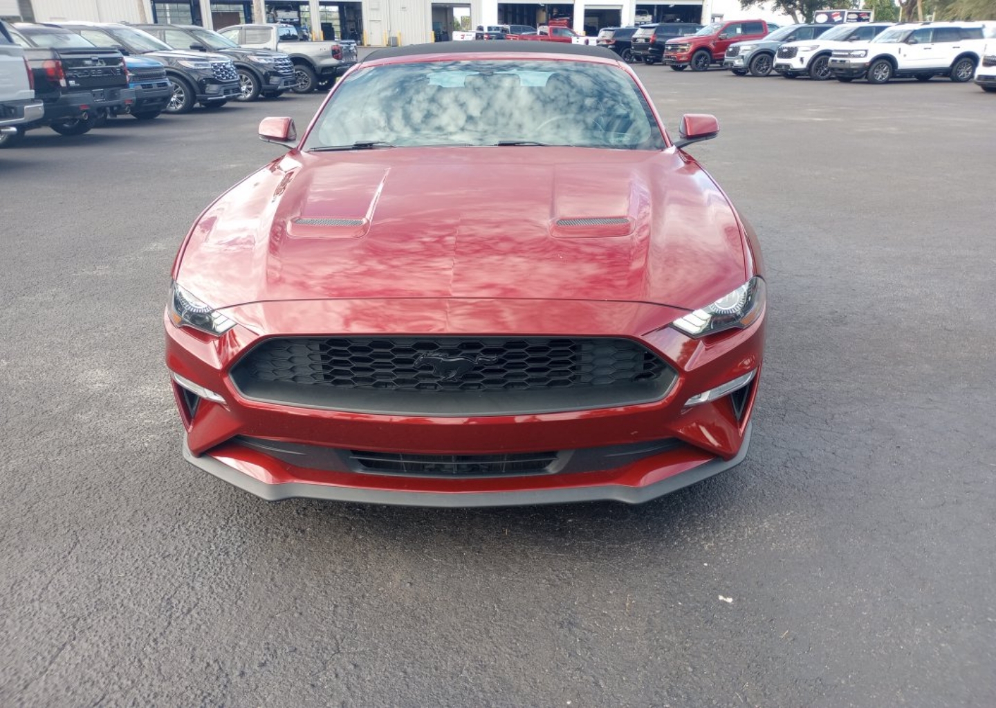Certified 2019 Ford Mustang EcoBoost Premium with VIN 1FATP8UHXK5146795 for sale in Englewood, FL