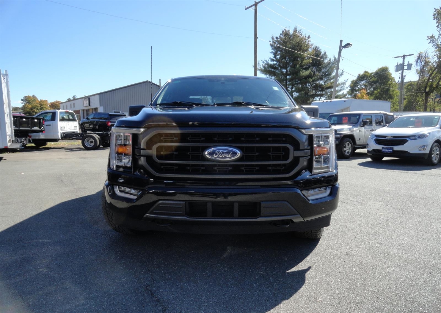 1FTEW1EP4PFB96161