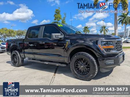 2025 Ford F-150 STX