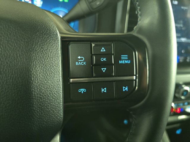 2025 Ford F-250 Super Duty Platinum - Photo 29