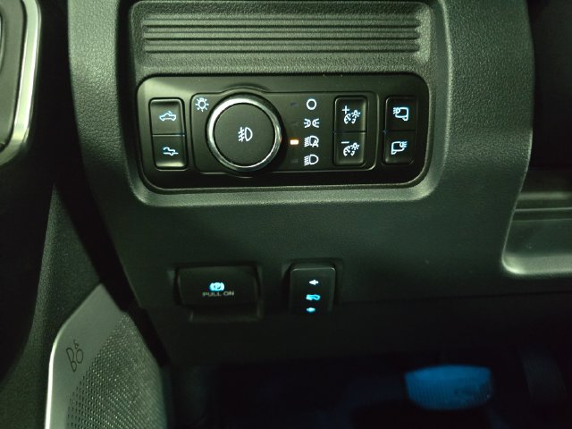 2025 Ford F-250 Super Duty Platinum - Photo 31
