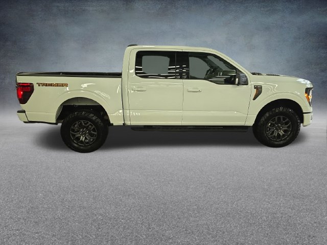 2025 Ford F-150 Tremor - Photo 9