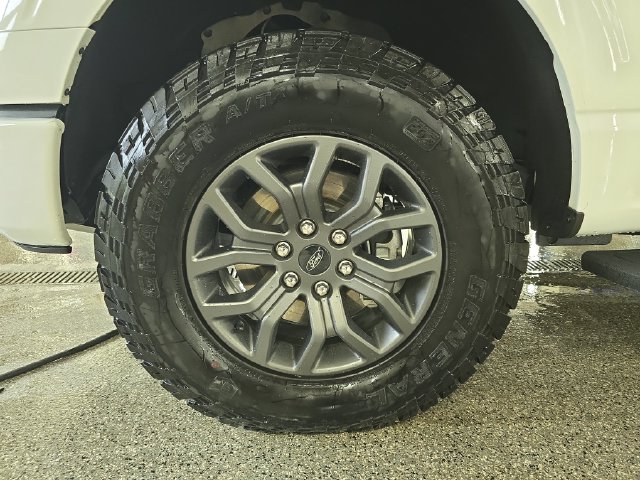 2025 Ford F-150 Tremor - Photo 10