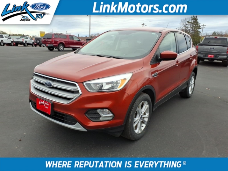2019 Ford Escape SE 4WD